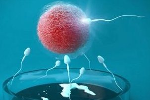 全球未婚试管婴儿合法国家大盘点