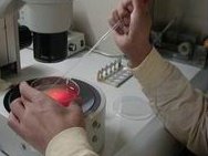 江苏试管婴儿费用及详细成本分解