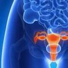 广东韶关三大助孕公司：创先服务、关爱不孕不育家庭