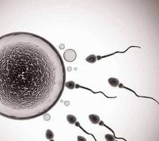 泰国第三代试管婴儿成功率如何？费用哪个医院的少