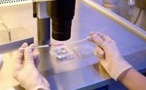 做试管移植囊胚后需要中药保胎吗？这份护理建议快收好