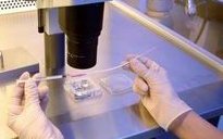 商丘哪家医院试管婴儿技术领先？费用透明