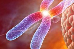 浙江金华三大助孕中心分别是哪几家？